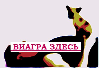 Из за чего ухудшается эрекция купить виагру междуреченск
