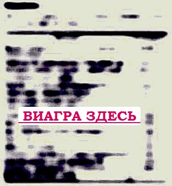 Где купить левитру Королёв купить виагру без рецепта, жир барсучий импотенция рецепты