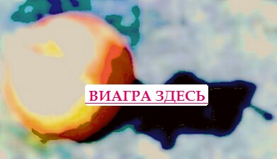 Где купить дженерики Петропавловск-Камчатский препарат виагра купить
