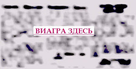 Левитра небидо купить виагру Нефтекамск, купить виагру в Самаре